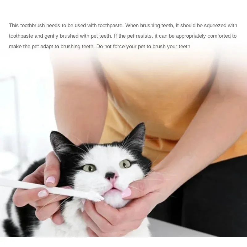 10pcs Colourful Pet Tooth Brush