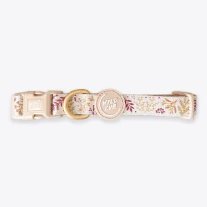 Adjustable Dog Collar: Chiswick Oyster