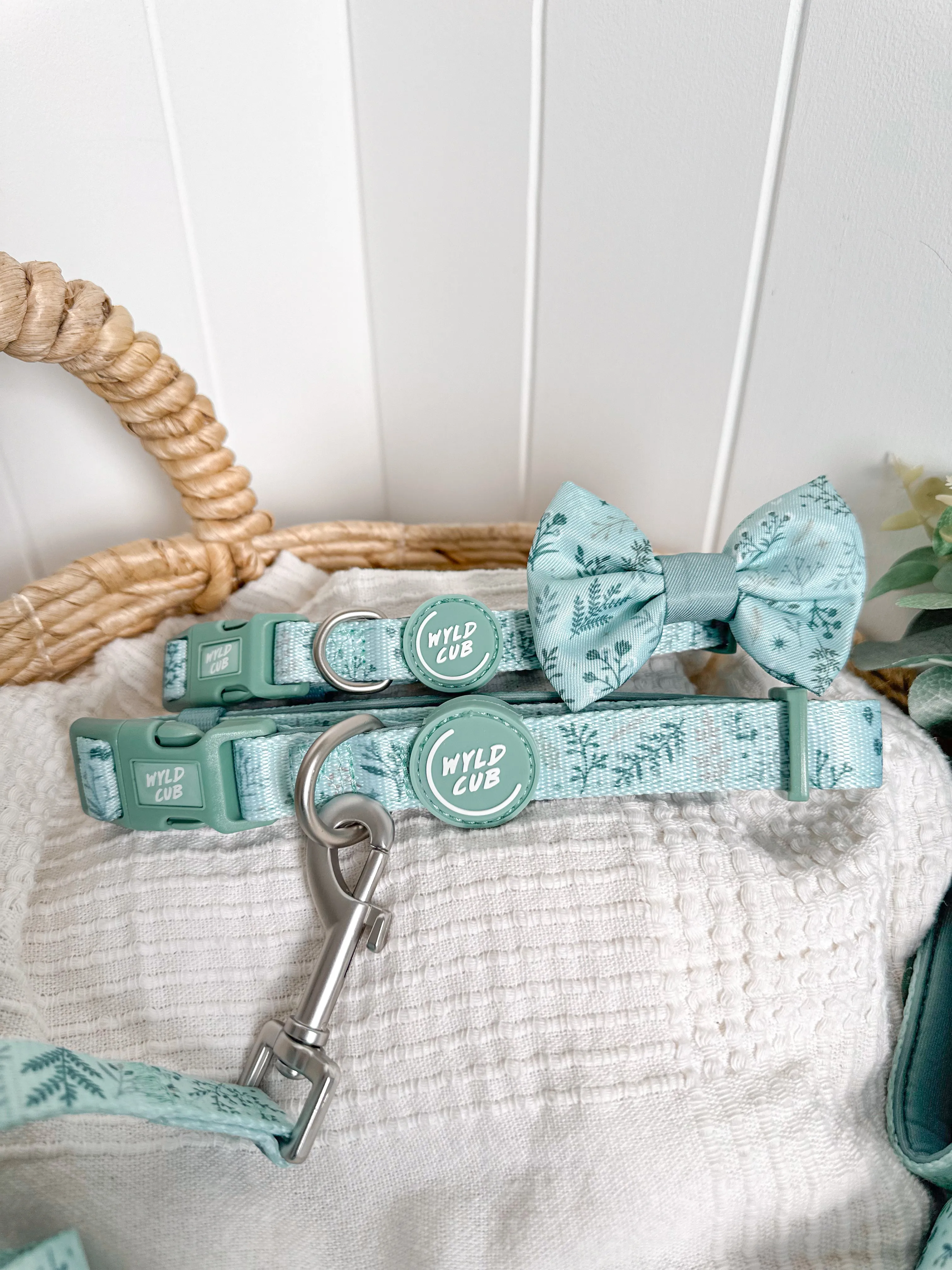 Adjustable Dog Collar: Chiswick Pistachio
