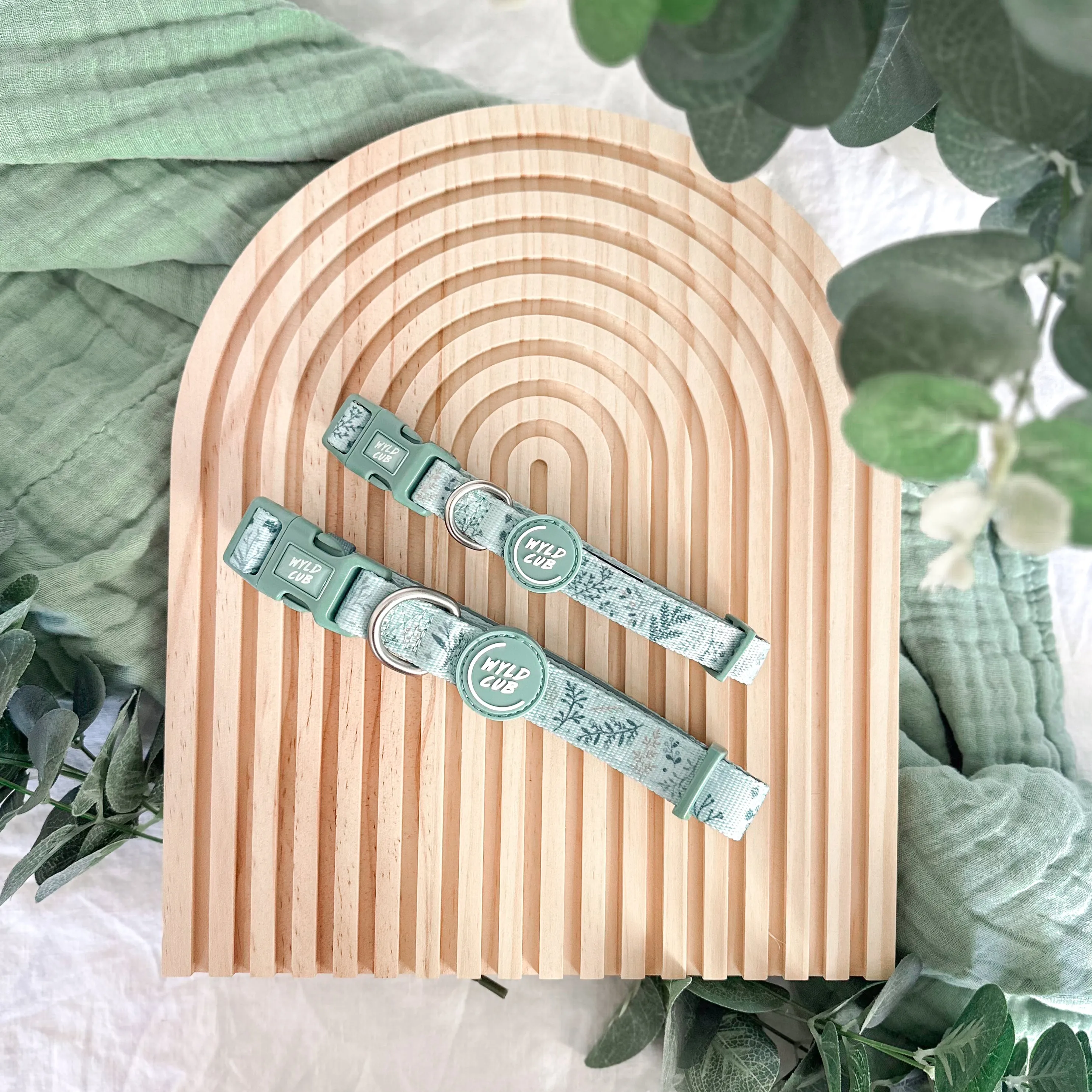 Adjustable Dog Collar: Chiswick Pistachio