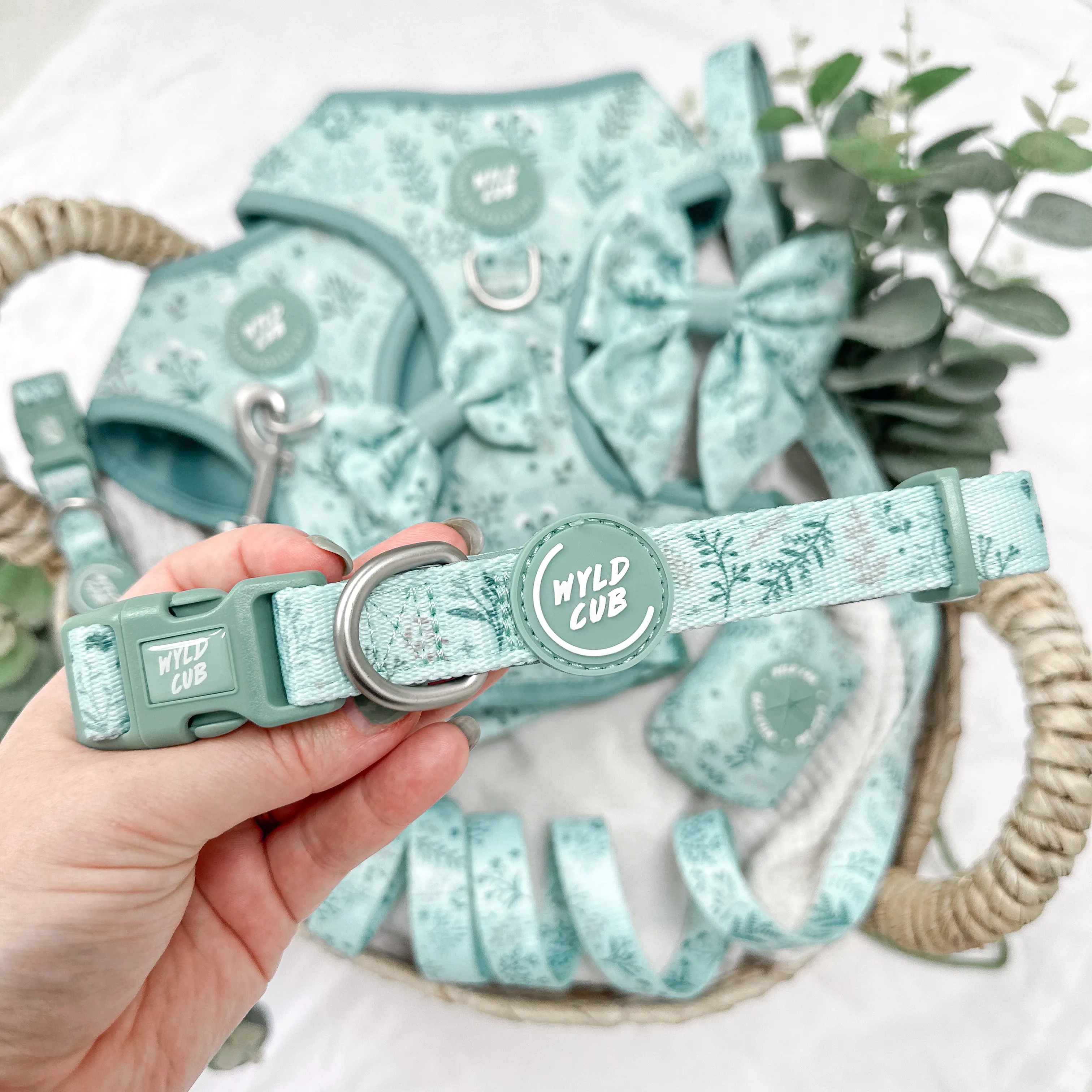 Adjustable Dog Collar: Chiswick Pistachio