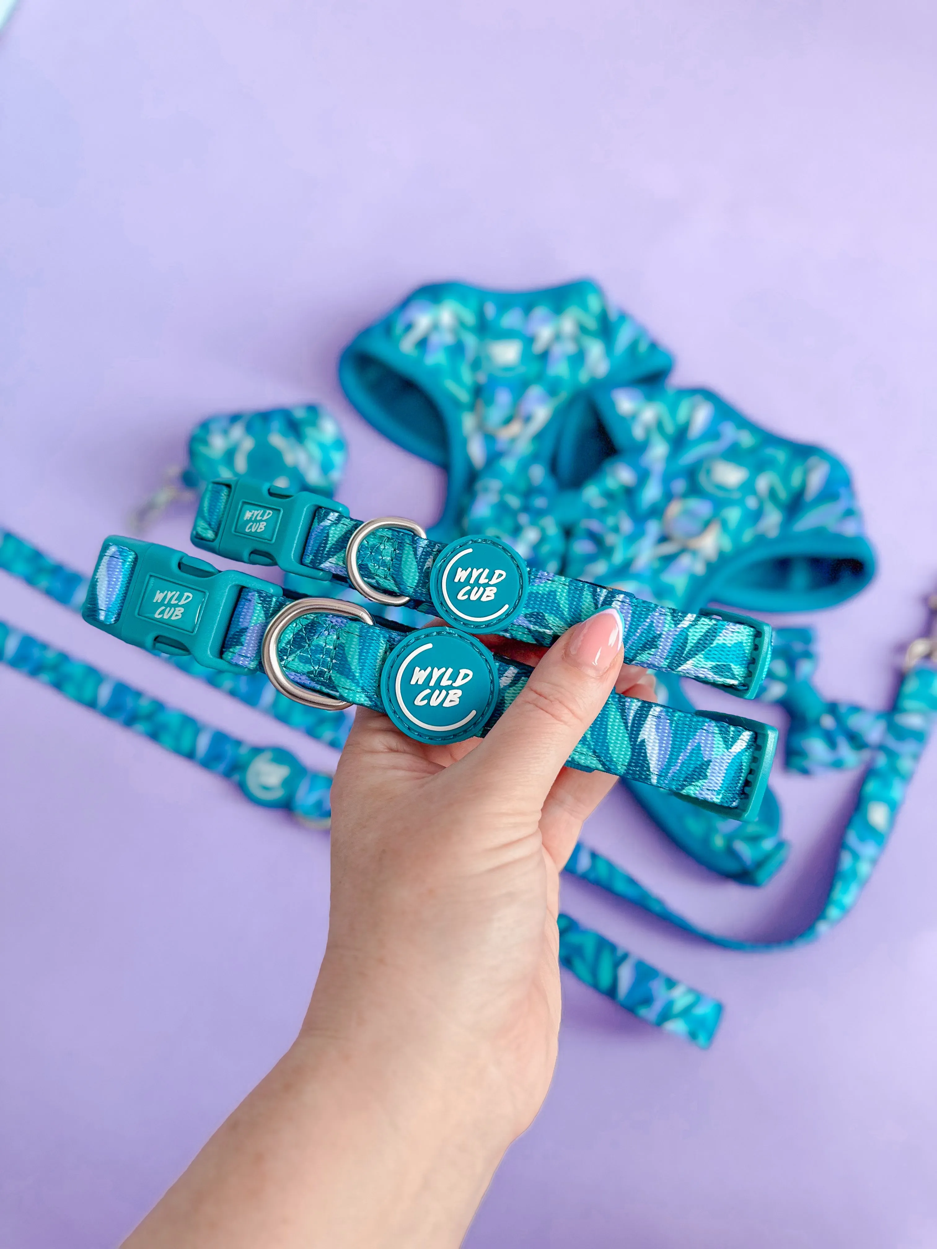 Adjustable Dog Collar: Kew Agave
