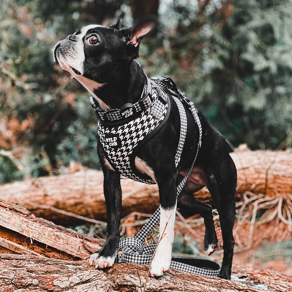 Adjustable Dog Collar: Knightsbridge Houndstooth