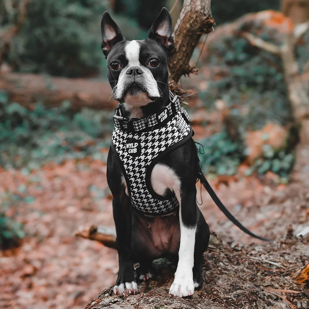 Adjustable Dog Collar: Knightsbridge Houndstooth
