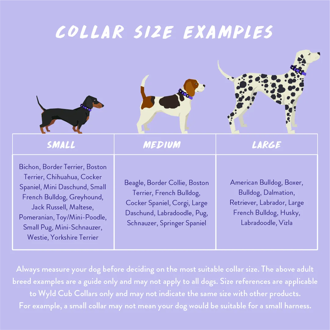 Adjustable Dog Collar: Knightsbridge Houndstooth