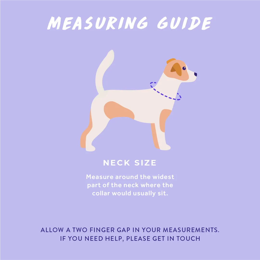 Adjustable Dog Collar: Knightsbridge Houndstooth