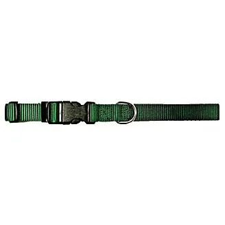Adjustable Dog Collar
