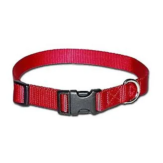 Adjustable Dog Collar