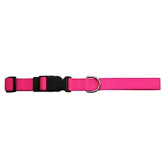 Adjustable Dog Collar
