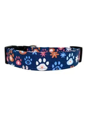Baxter Dog Collar