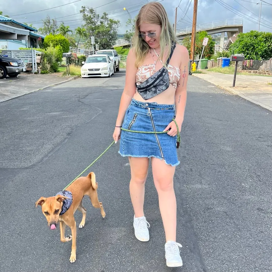 Black Hibiscus Pet Bandana