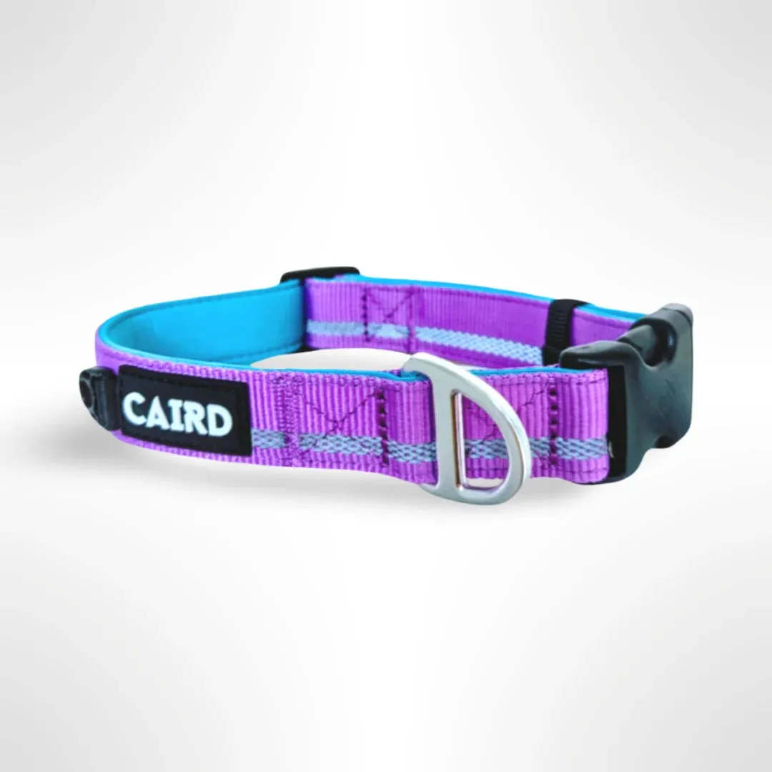 Caird Journey Light Adjustable Collar