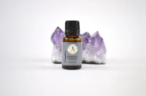 Camphor Essential Oil Concentrate