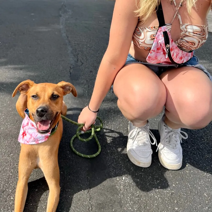 Coral Hibiscus Pet Bandana