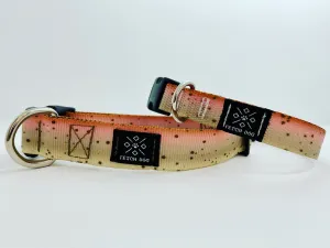 Cutthroat Trout Dog Collar