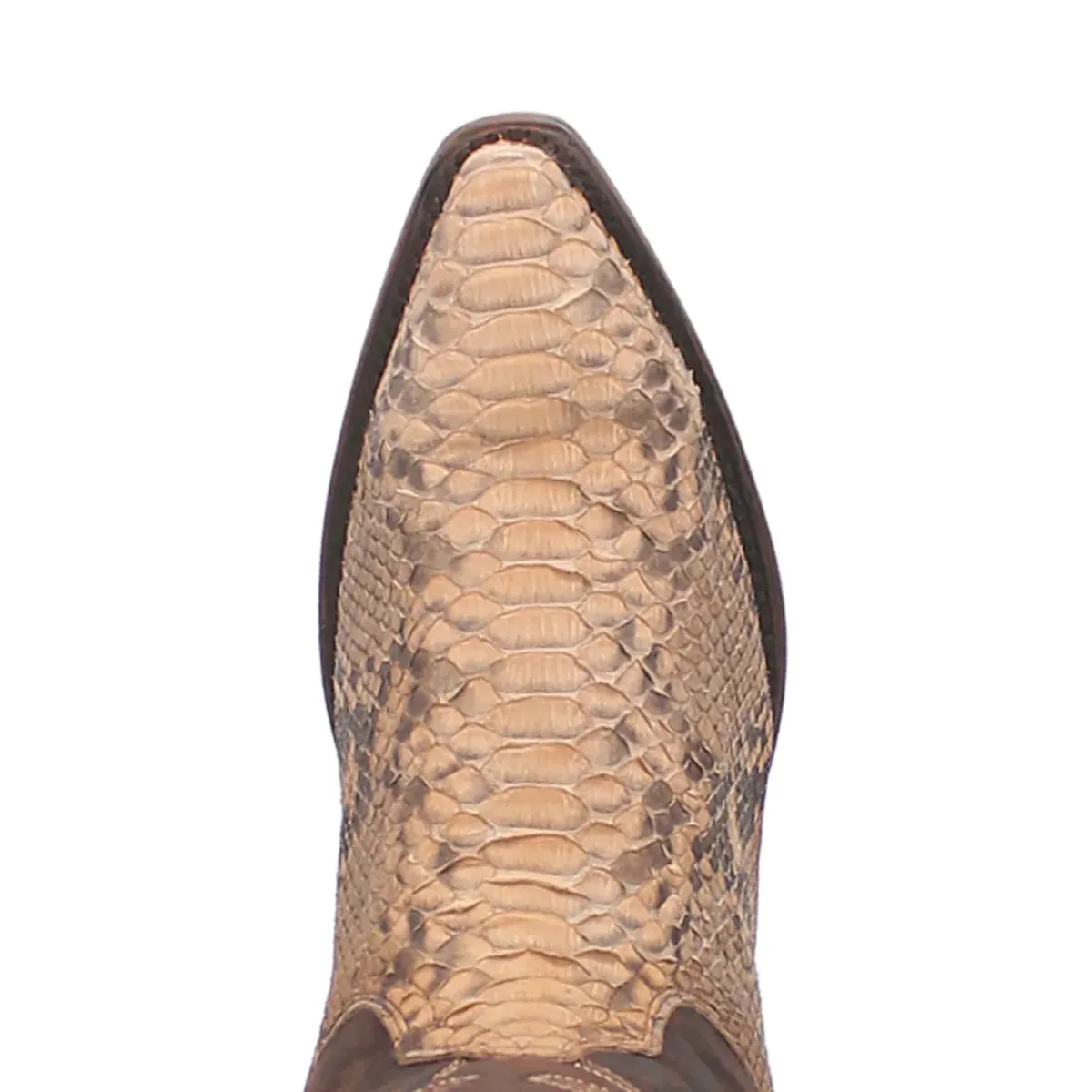 Dan Post Men's Sturgis Python Snip Toe Boot DP3058