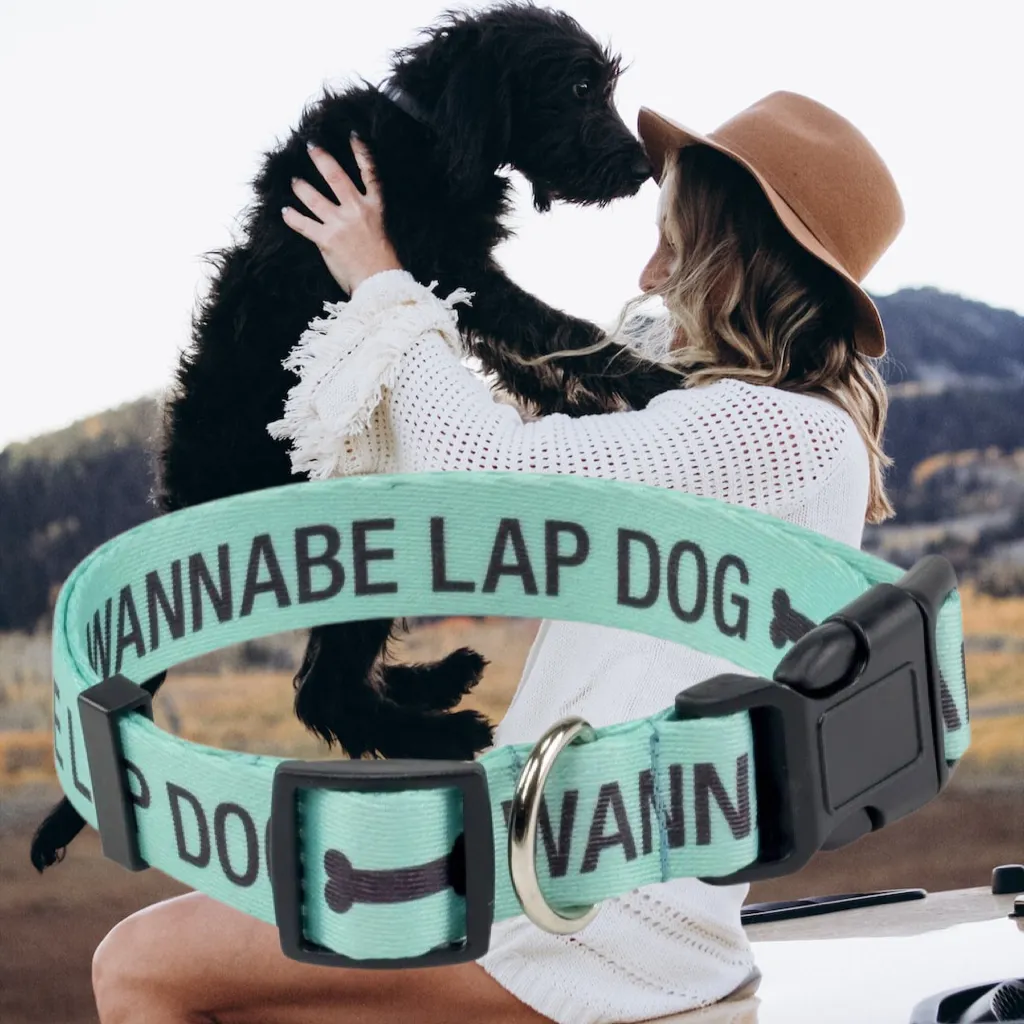 Dog Collar - Wannabe Lap Dog