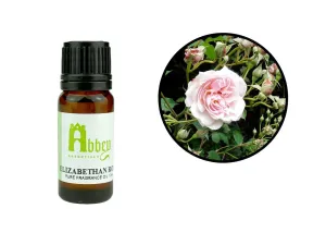 Elizabethan Rose Fragrance