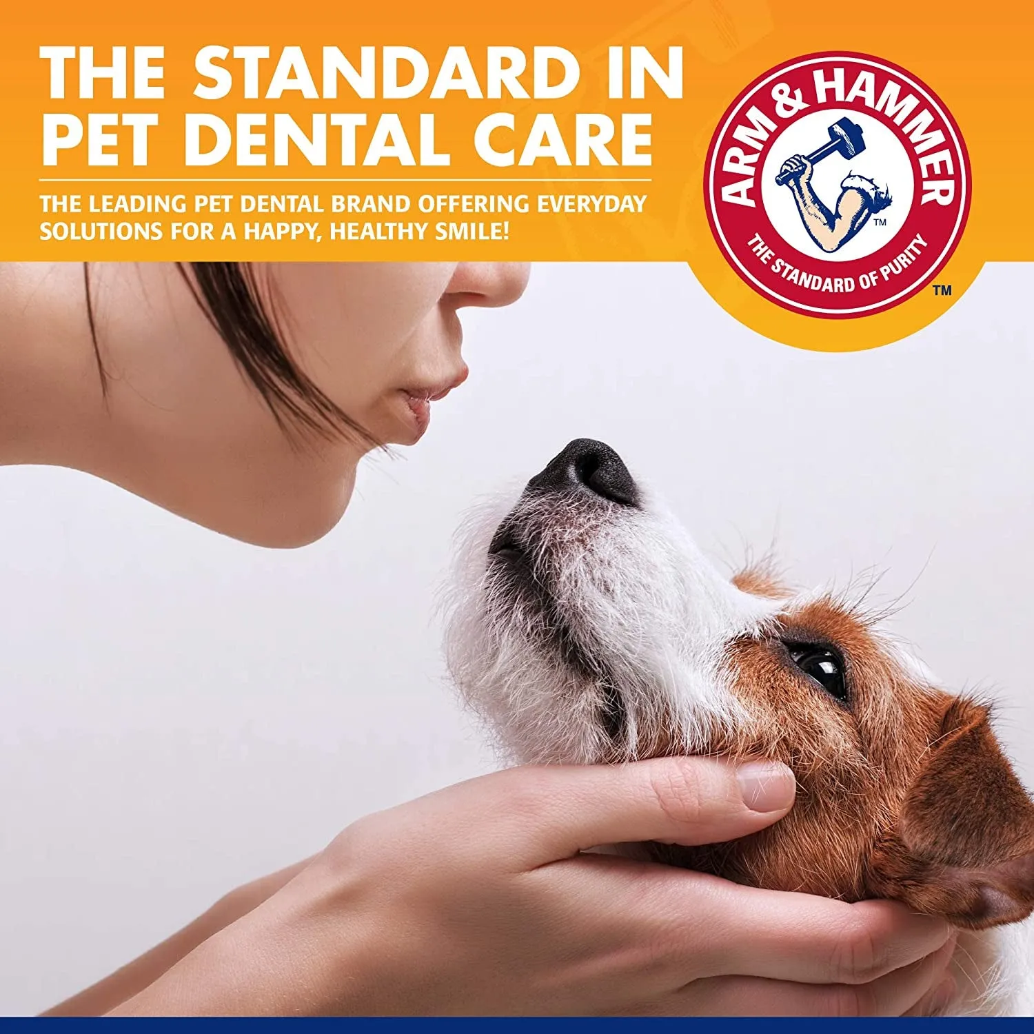 for Pets Tartar Control Enzymatic Toothpaste for Dogs Reduces Plaque & Tartar Buildup Safe for Puppies Beef Flavor, 2.5 Ounces Dog Toothpaste (Pack of 1)