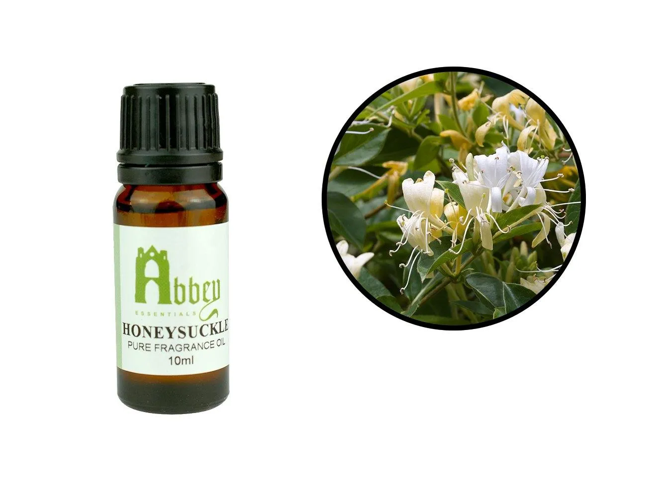 Honeysuckle Fragrance