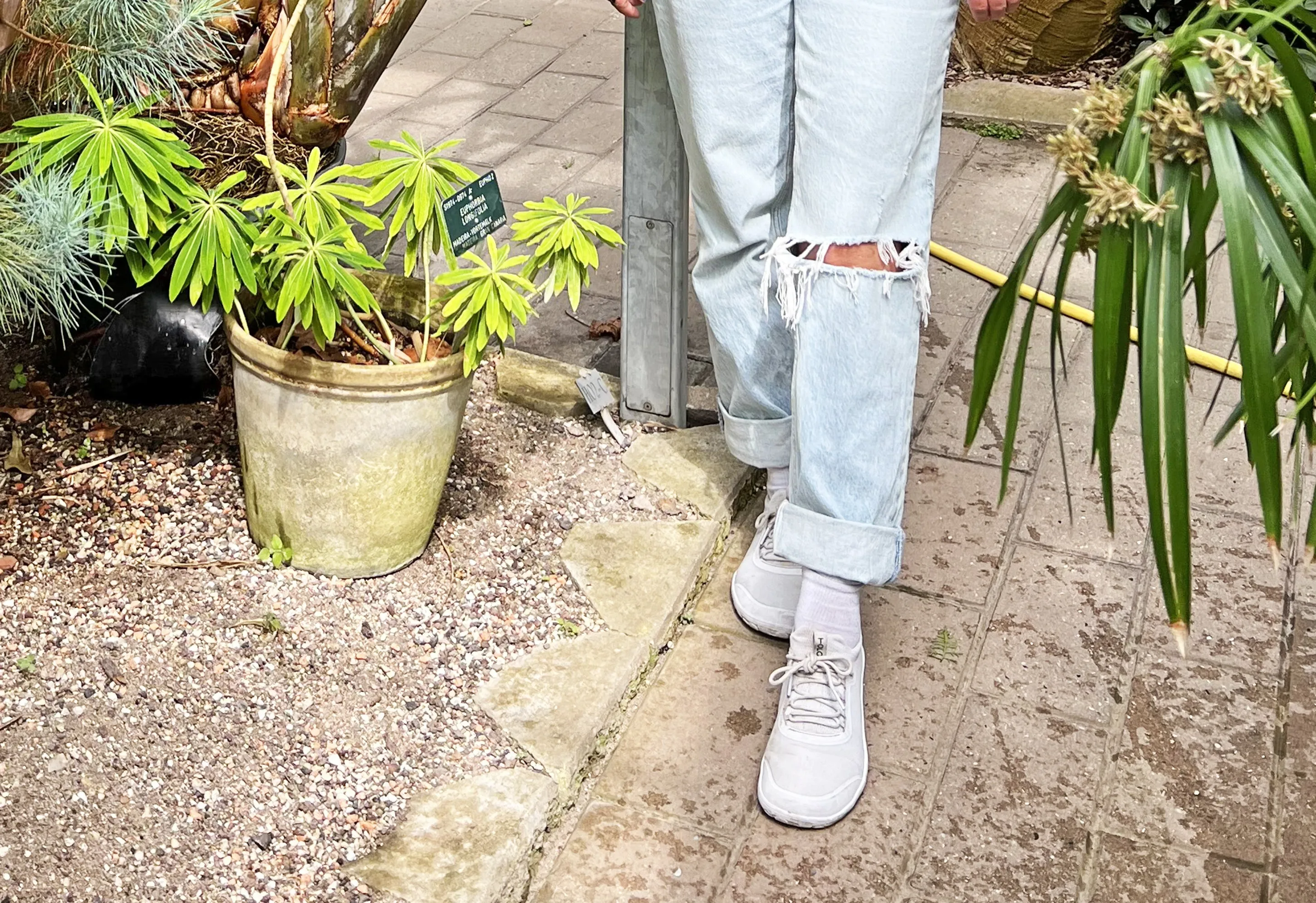 iON SYNC® Tolos Shoes