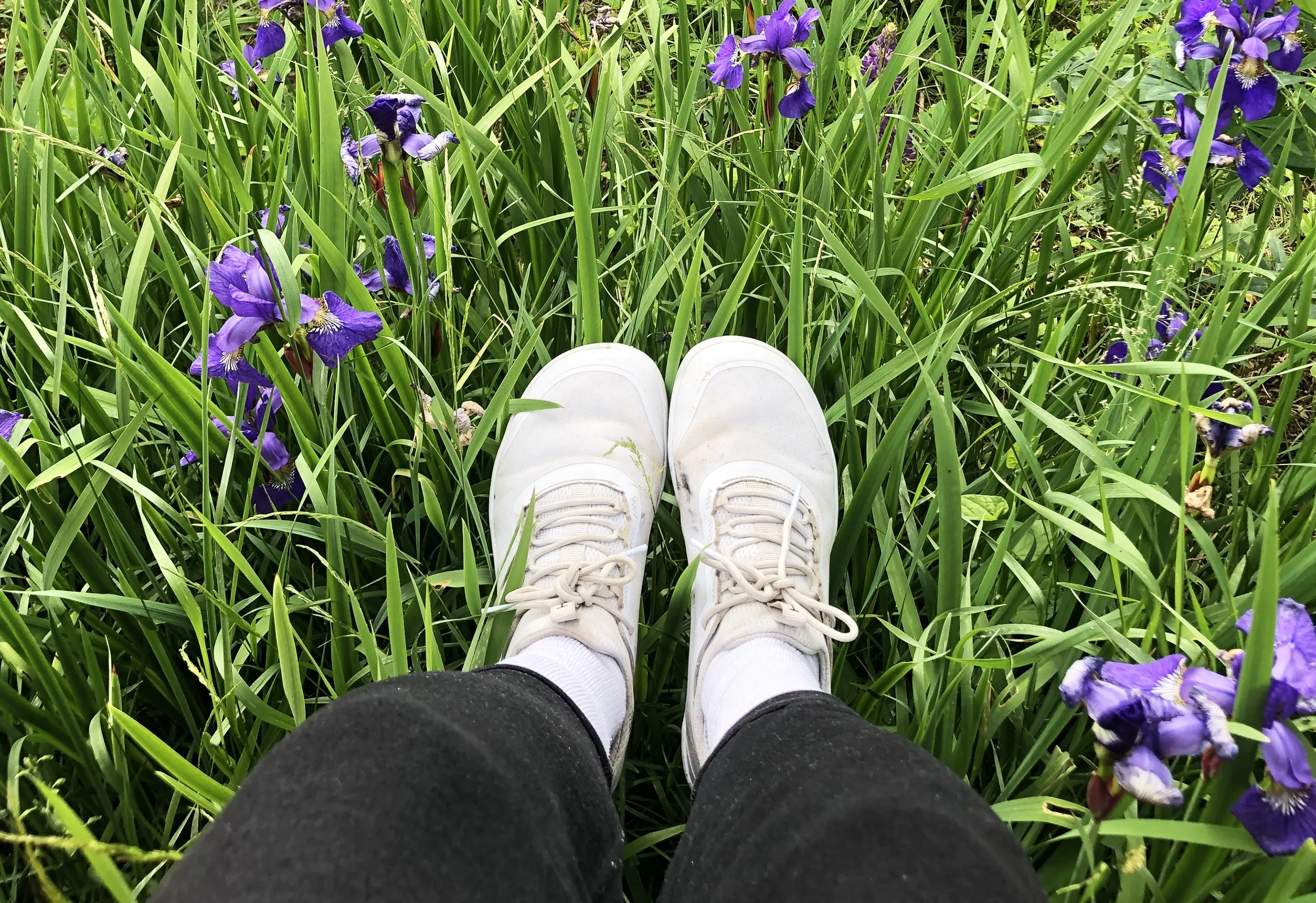 iON SYNC® Tolos Shoes