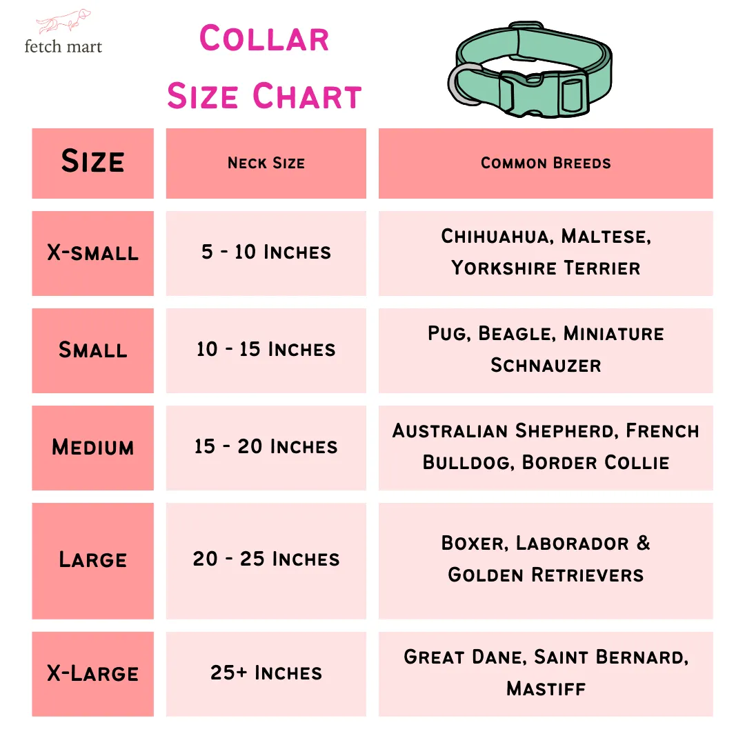 It's About the Pasta Collar