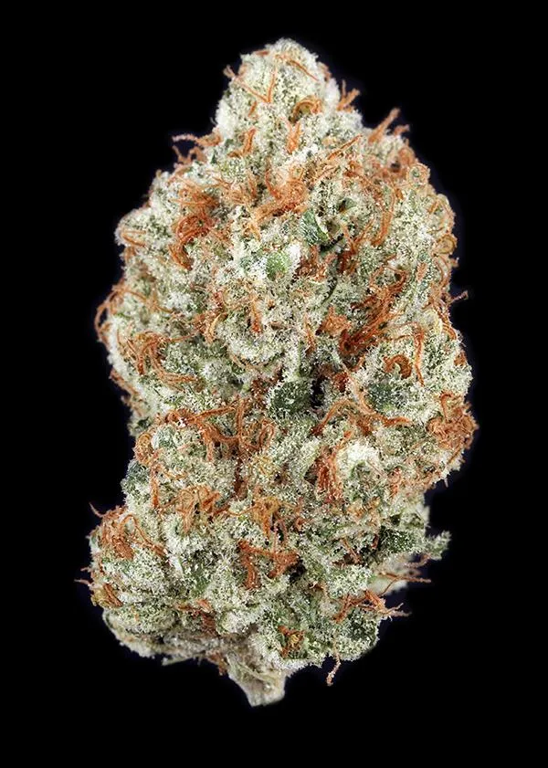 Lemon Butter Breath