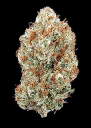 Lemon Butter Breath