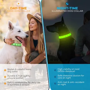 LeZampa Light up Dog Collar Rechargeable , Adjustable Dog Light up Collar (Large, Green)- scruffy box