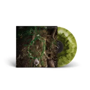 Maggot Mass