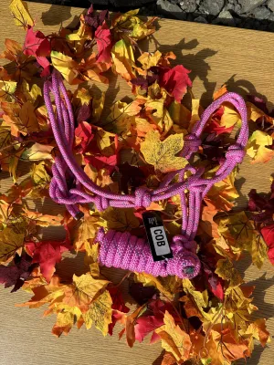 New Rope Pressure Halter FREE POSTAGE ❤️