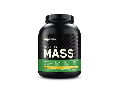 OPTIMUM NUTRITION SERIOUS MASS 6LB