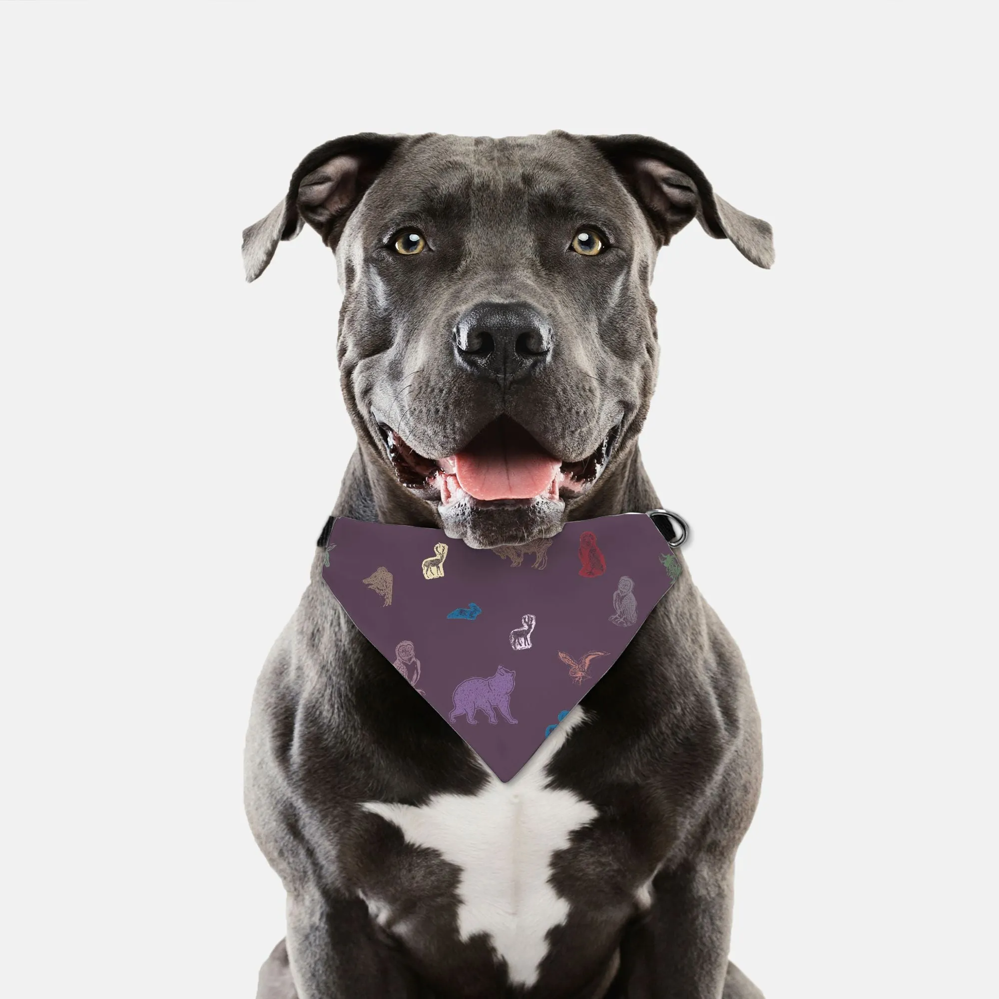 Pet Collar Bandana: Large/XL Western Forest, Berry