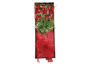 Premium Dozen Roses in Gift Box