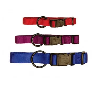 PS419849 Dog Collar-Adjustable 18-26" Hamilton