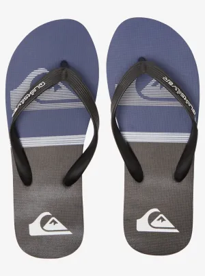 Quiksilver Molokai Swell Vision - Grey 1
