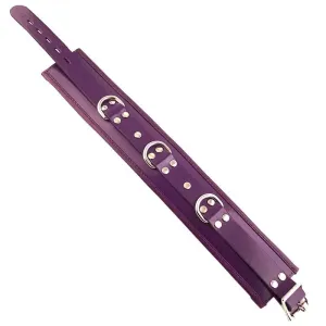 Rouge Garments Adjustable Purple Padded Collar with D-ring