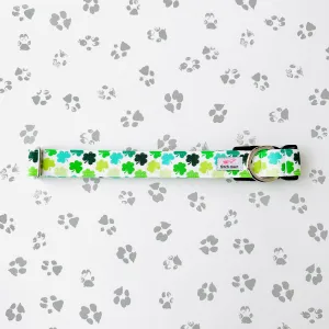 Shamrocks Collar