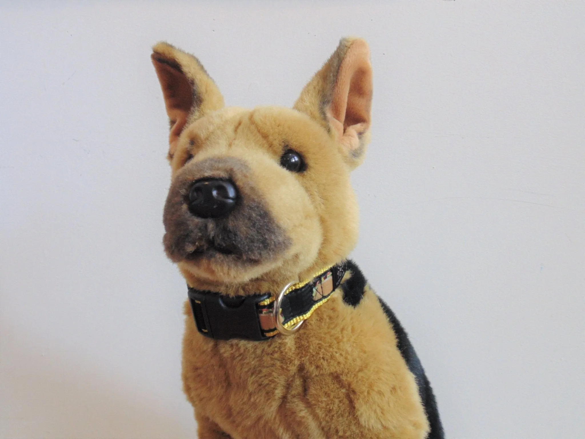 Taco Dog Collar