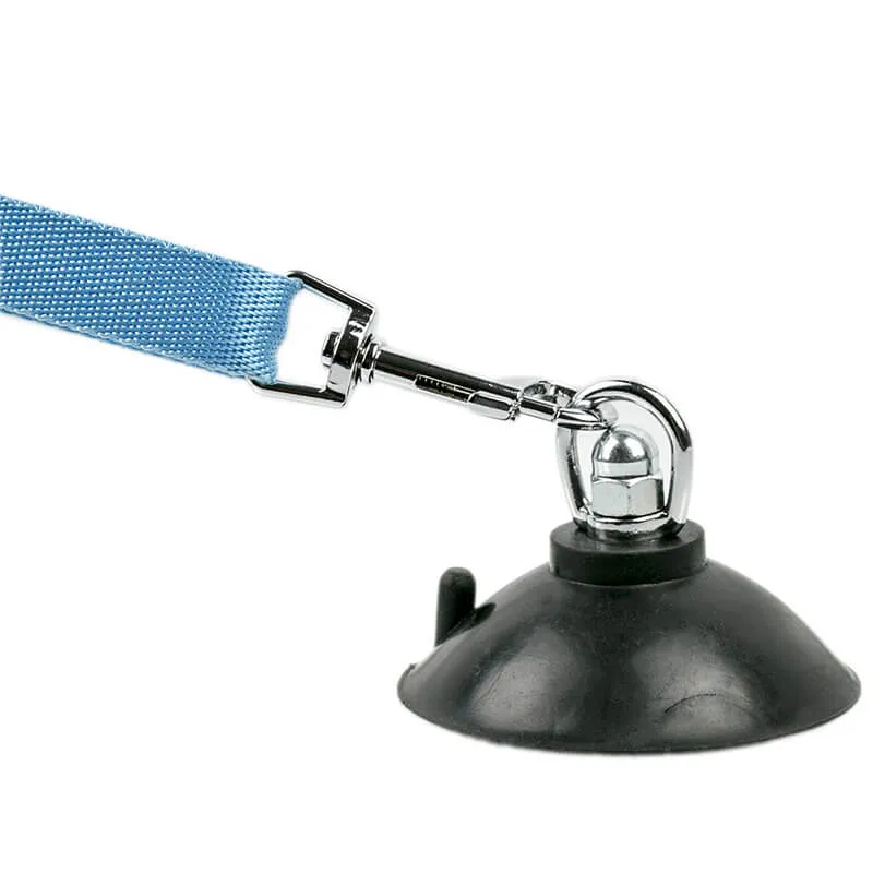 Tall Tails Bath Leash