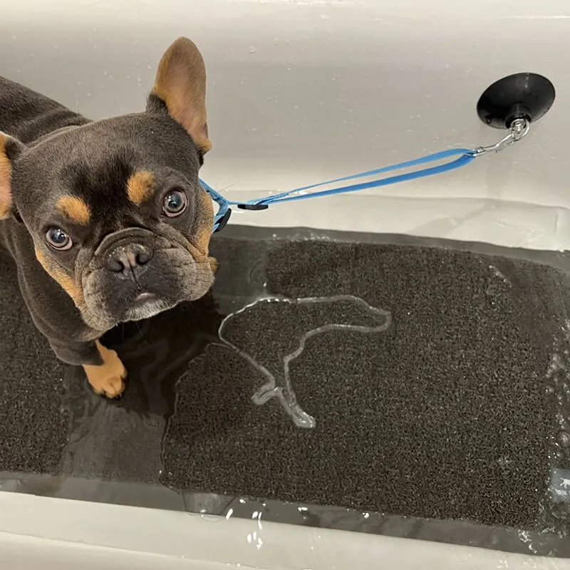 Tall Tails Bath Leash