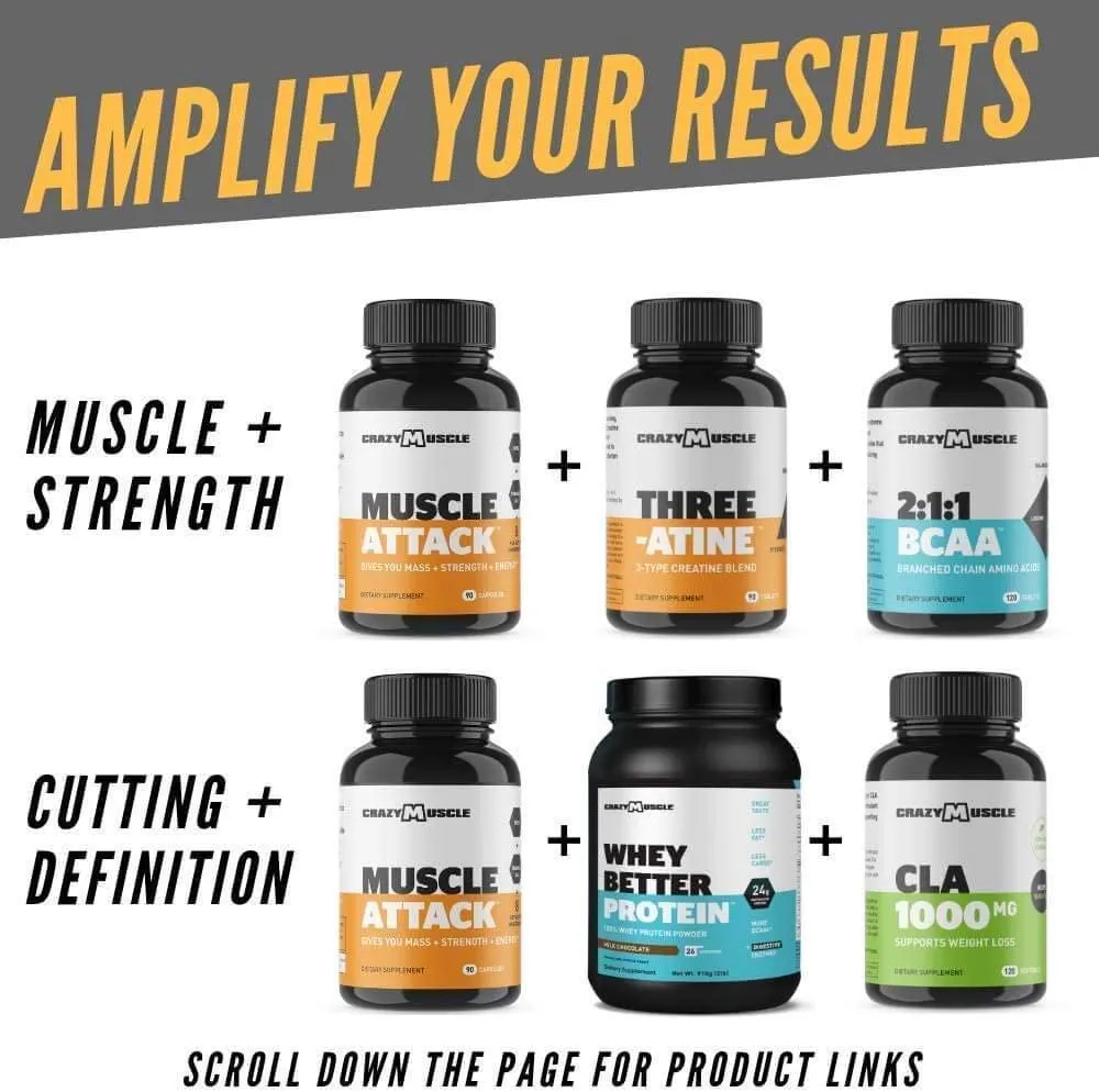 The Basics: Muscle Attack is a Must-Have with Test 1 Boost