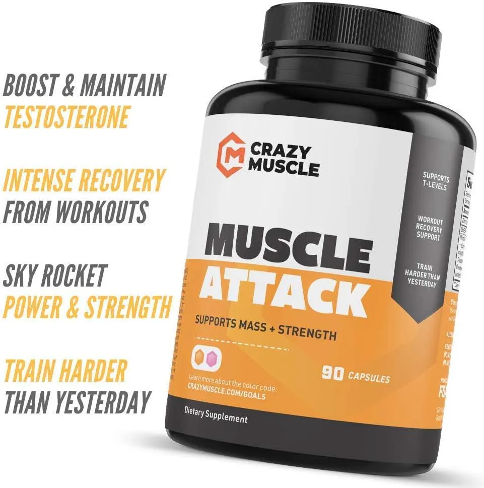 The Basics: Muscle Attack is a Must-Have with Test 1 Boost