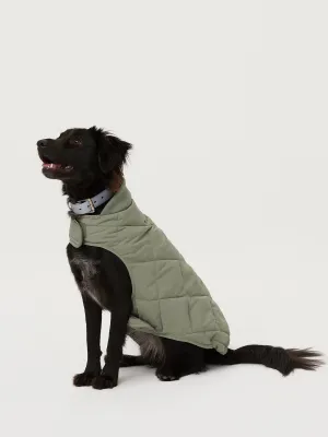 The Skyline Dog Jacket in Vetiver Green