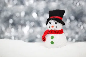 Therapeutic Play Groups - All Seasons
