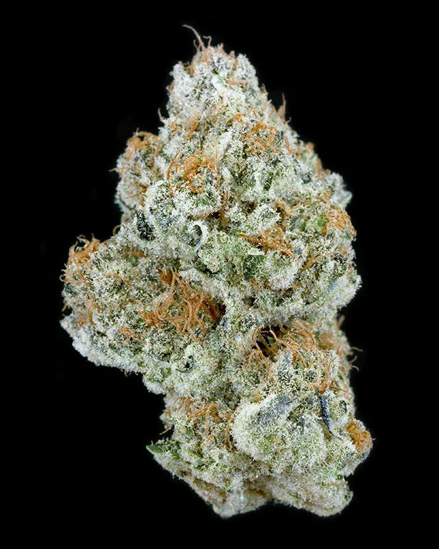 TRIM - Mimosa Breath