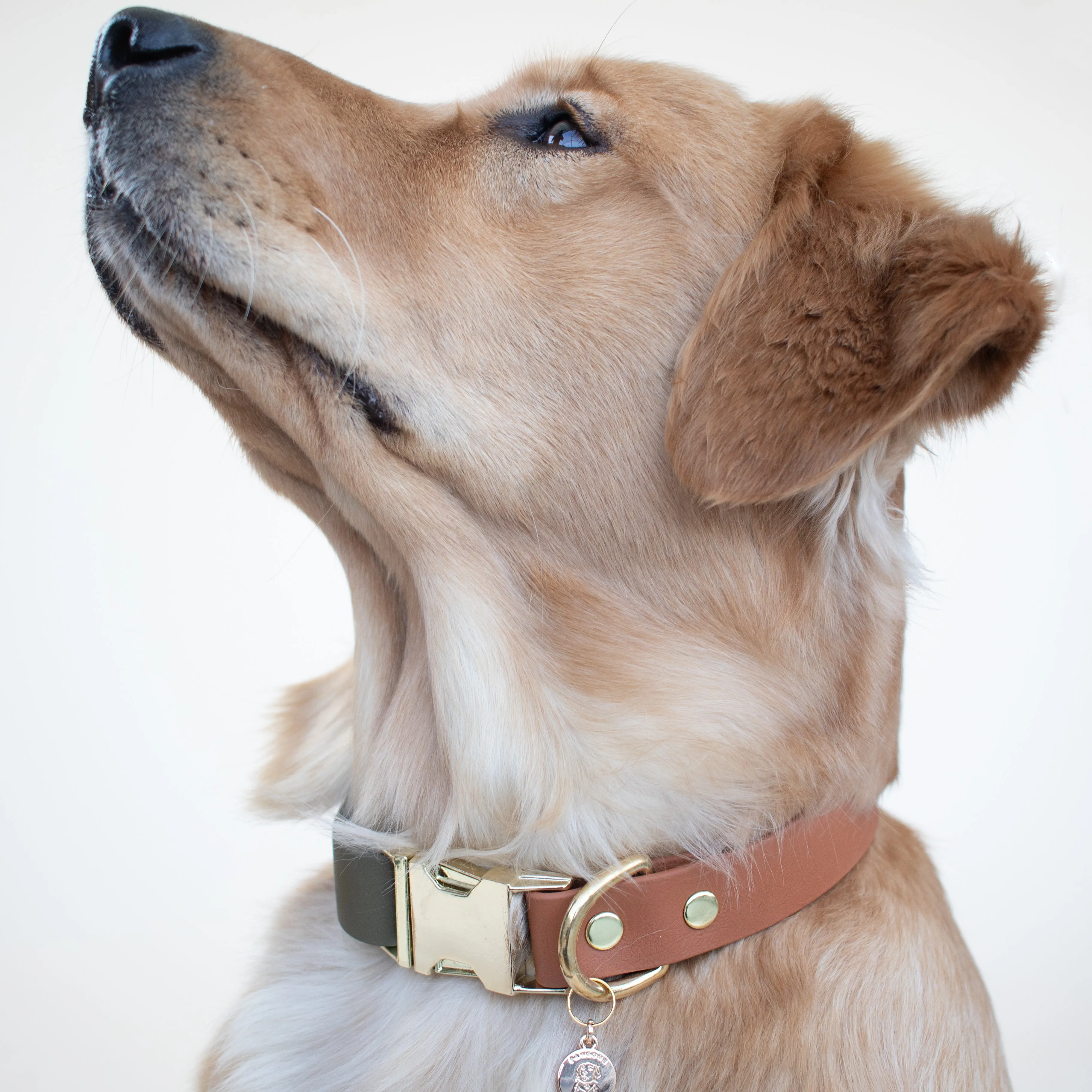 Two-Tone Waterproof Adjustable Quick Release Collar