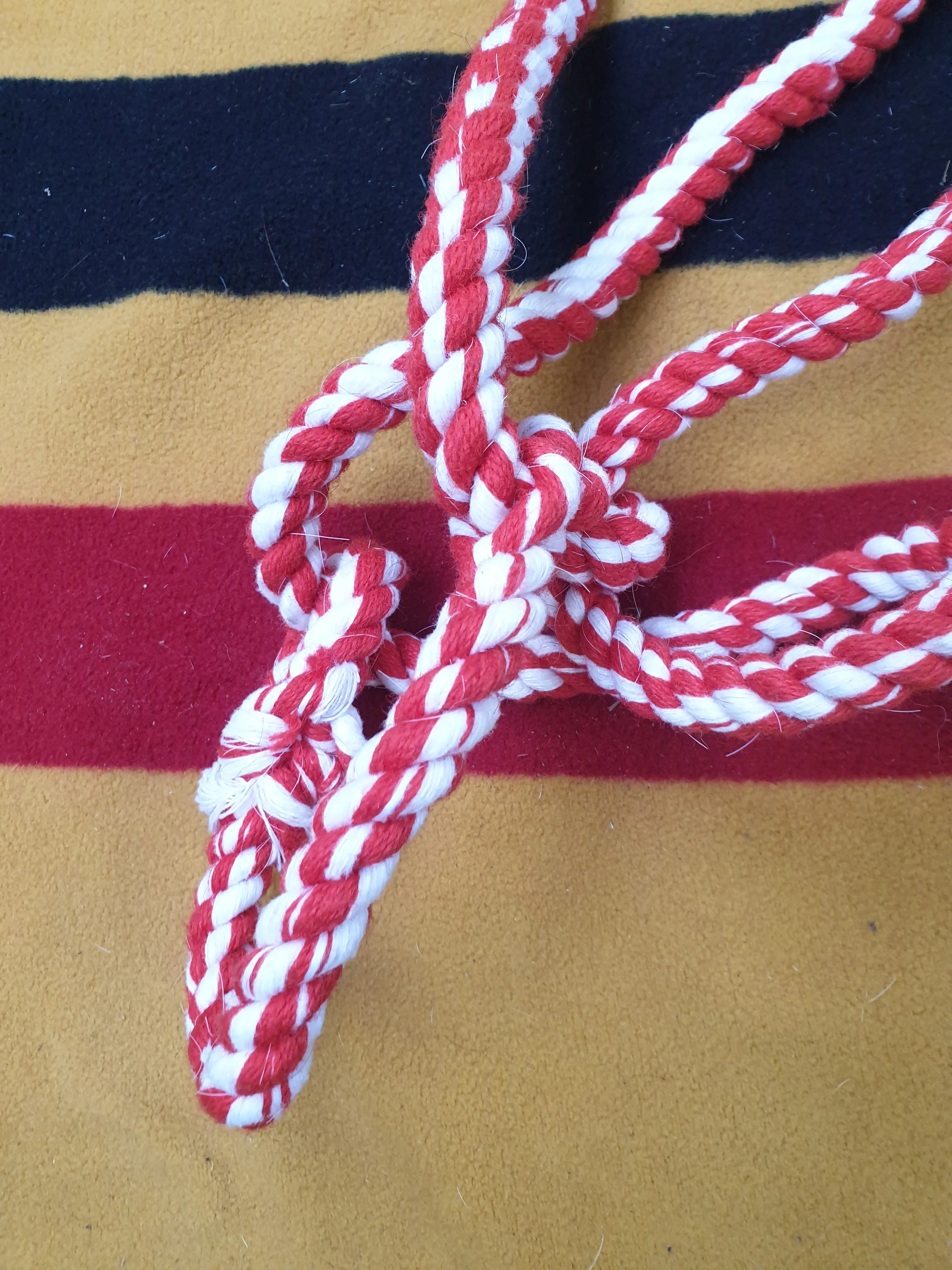 Used red rope halter FREE POSTAGE☆
