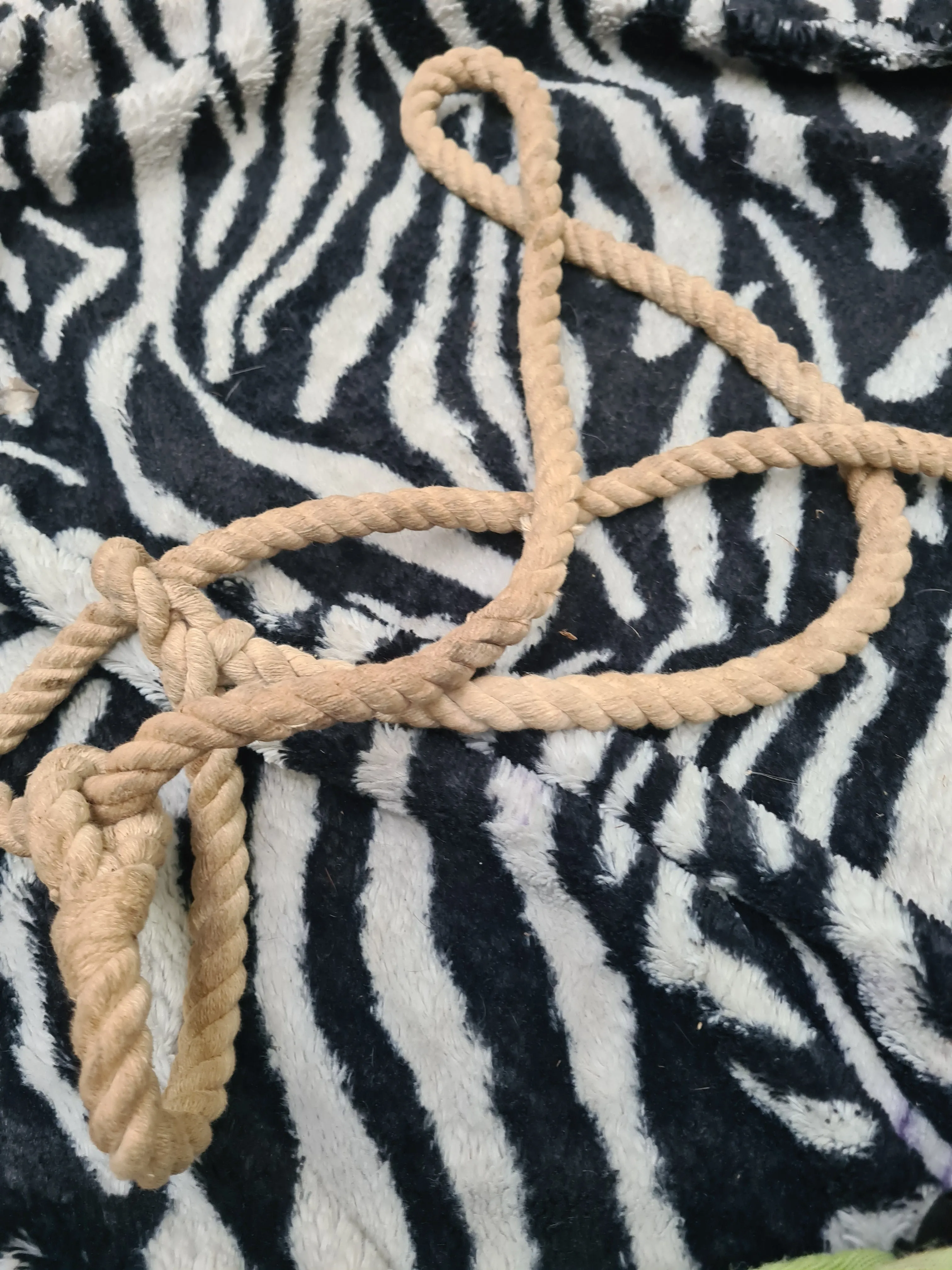 Used rope adjustable/ pressure head collar FREE POSTAGE☆